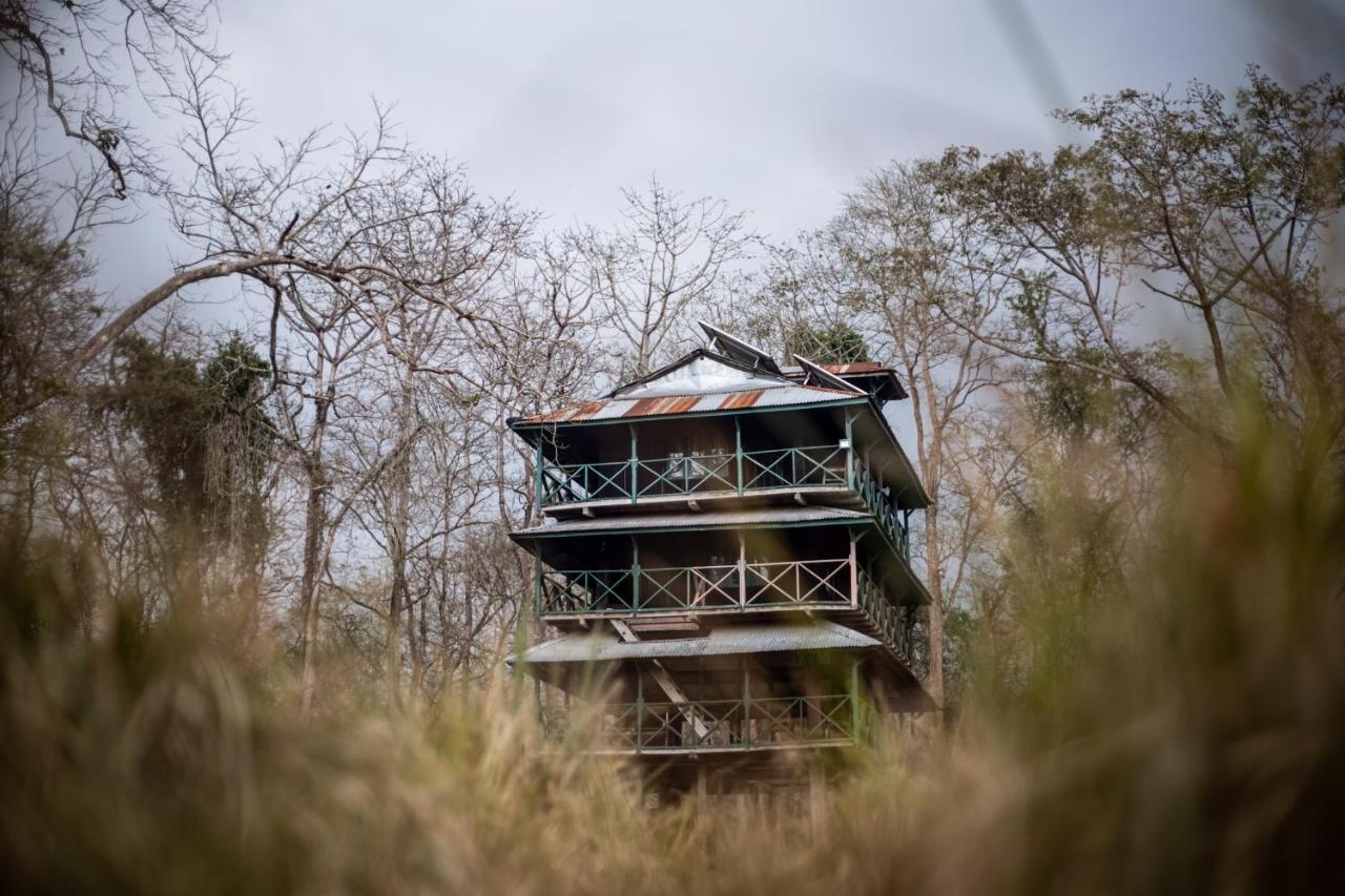 Hotel Tharu Garden, Sauraha Exteriér fotografie