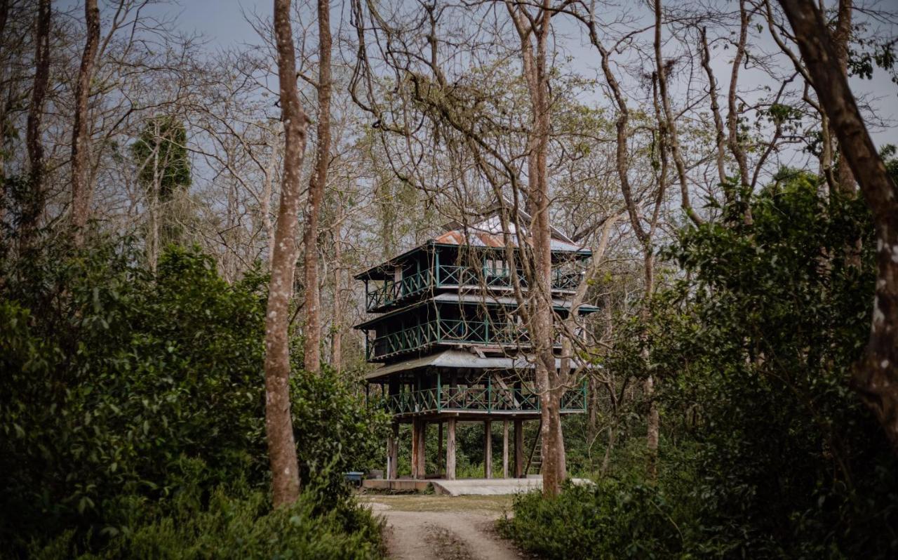 Hotel Tharu Garden, Sauraha Exteriér fotografie