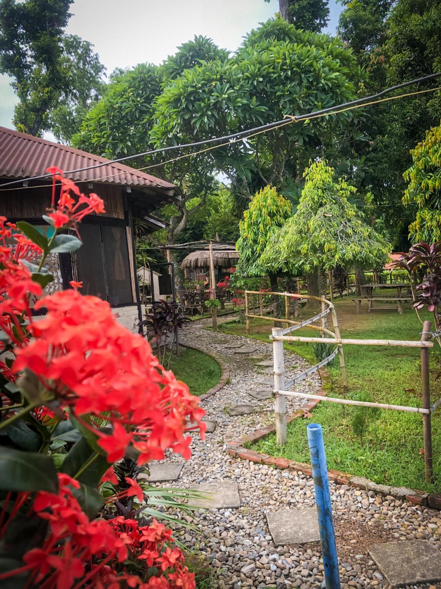 Hotel Tharu Garden, Sauraha Exteriér fotografie